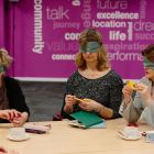 Colourblind Plus experiential learning activity in action