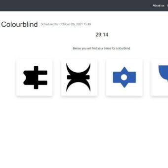 Colourblind Online experiential learning activity participant screen