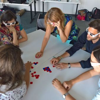 Mosaic Diversity Activity game play