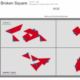 Broken Squares (online version) participant example