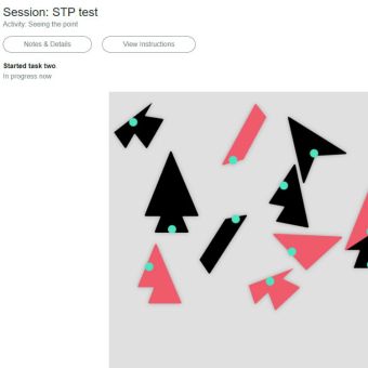 Seeing the Point (online version) Task 2